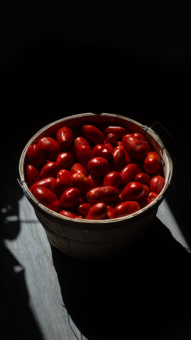 成熟的红罗马番茄