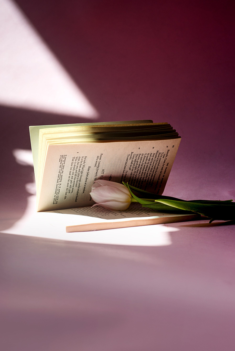 一朵郁金香与一本书
