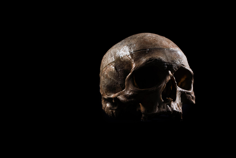 黑暗中的人类头骨模型