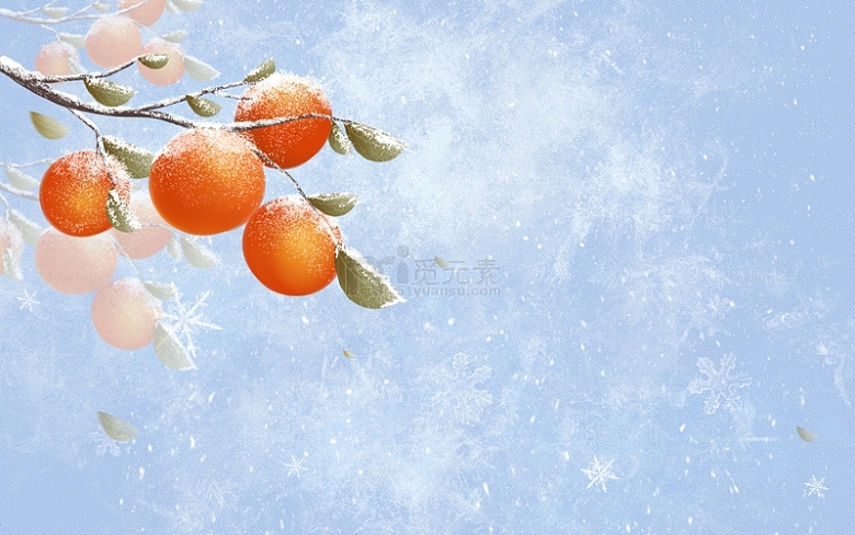 霜降冬至秋天果实植物柿子大雪背景