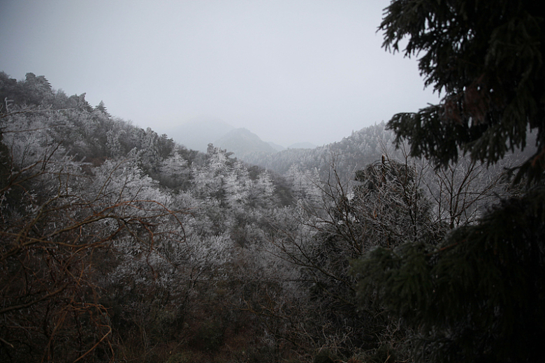 树木冰雪覆盖的连绵起伏的山丘