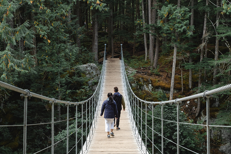 两个人在吊桥上向森林走去