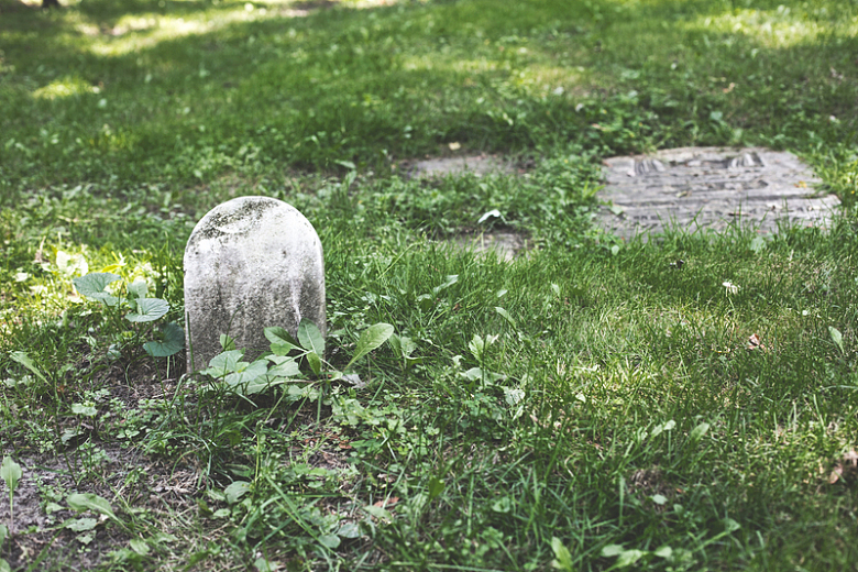 草地上的简易墓碑