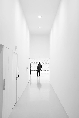 白色美术馆展览