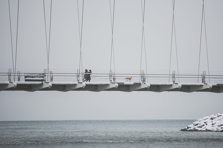 金属吊桥上遛狗