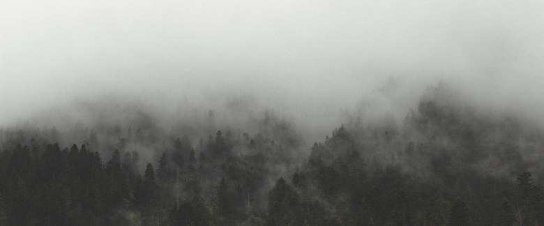 大雾中的广角森林