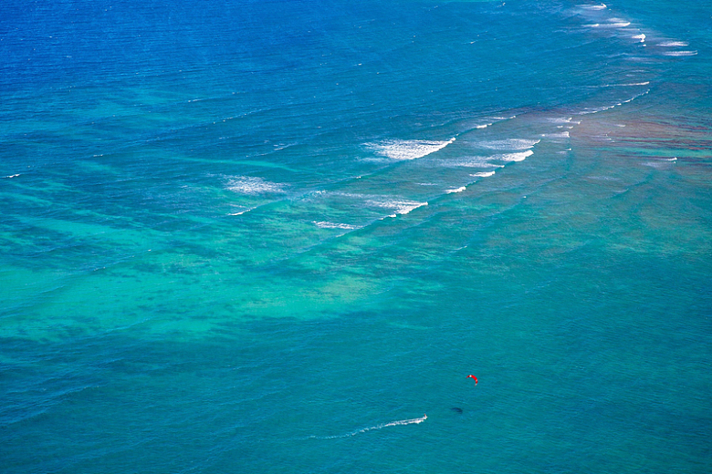 蓝色海洋上的红风筝