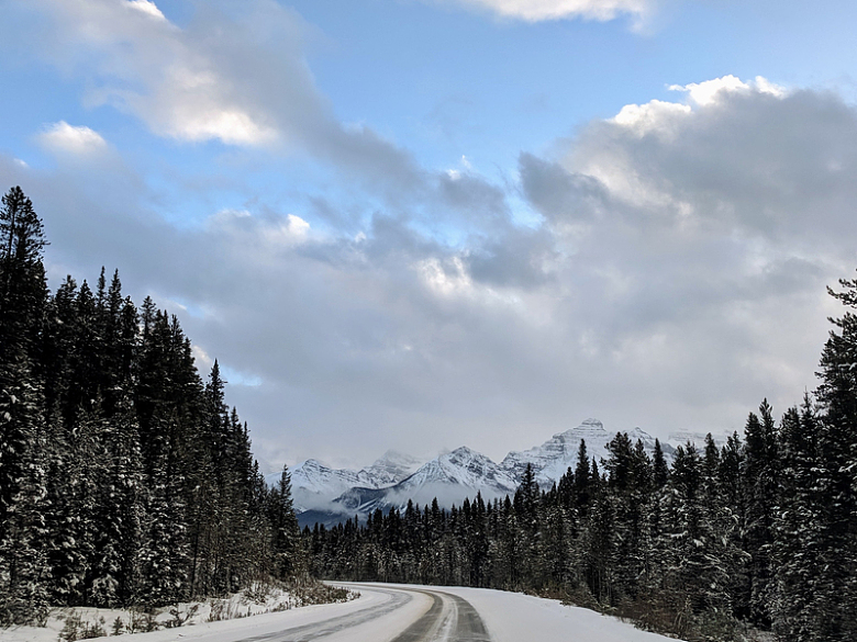 蓝天白云下雪山积雪覆盖的森林道路