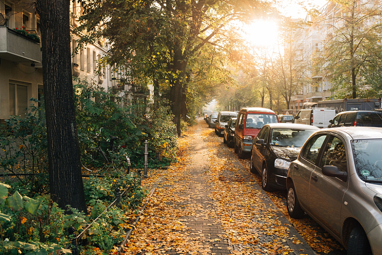 秋季清晨阳光照耀下的街道停放的汽车