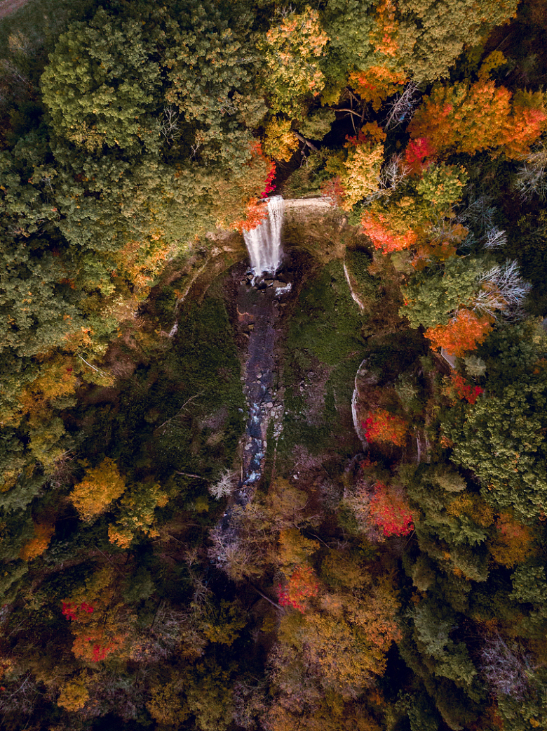 航空摄影落叶和瀑布