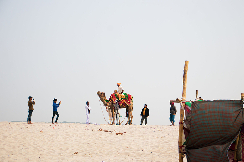 沙漠中骑骆驼拍照
