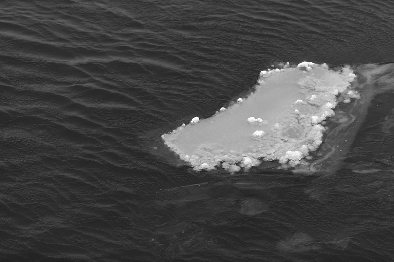 海水中漂浮的冰水块