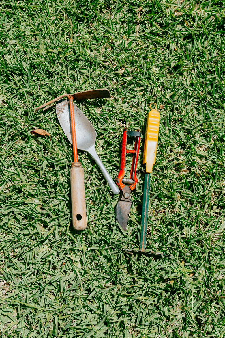 草坪上的园艺工具