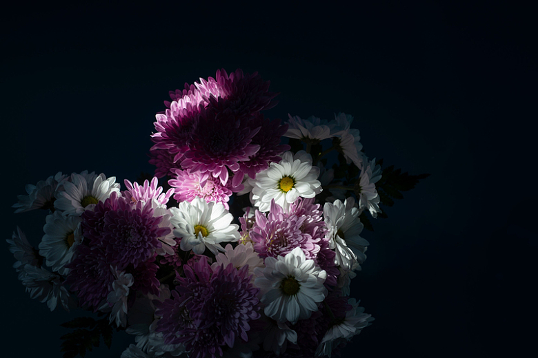 白色和紫色的花朵捕捉到一束光