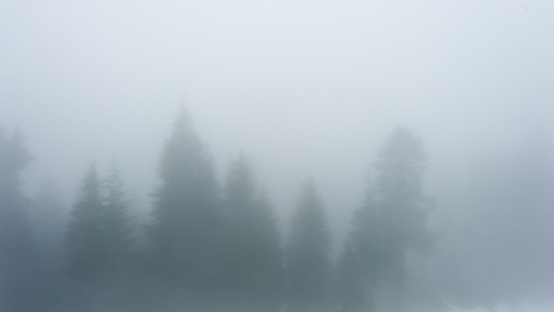 云雾朦胧的森林