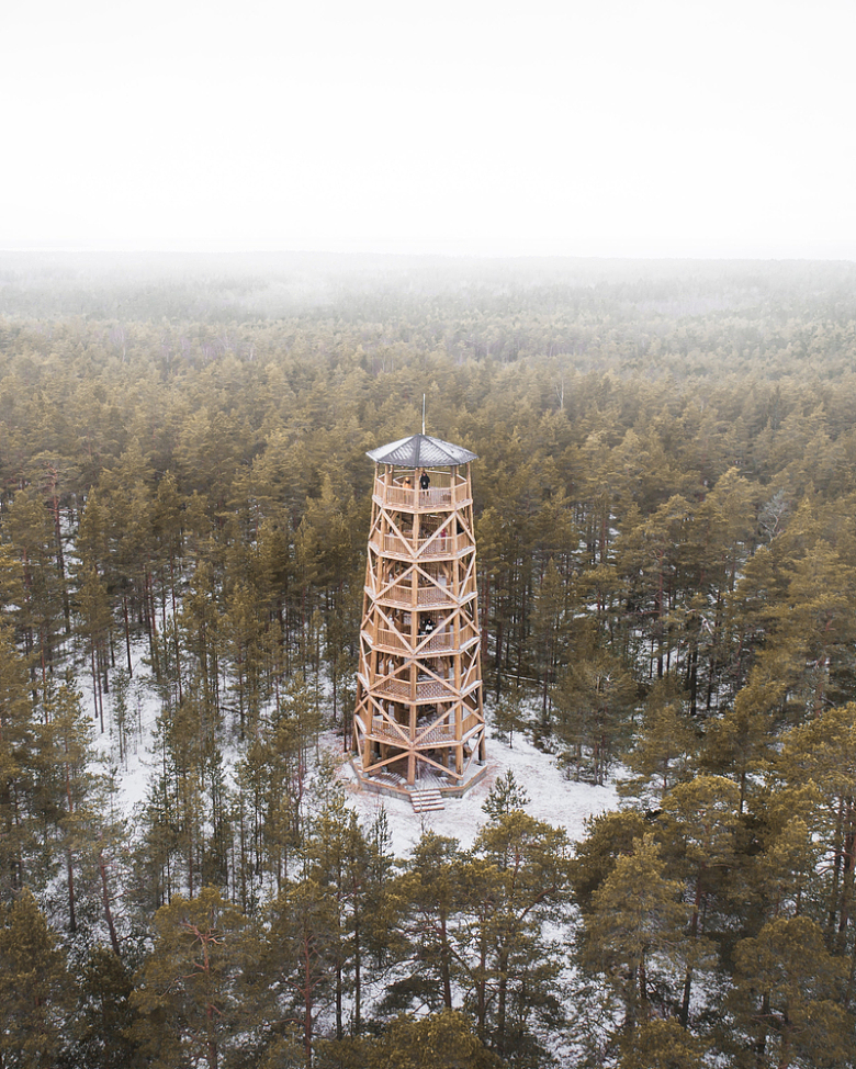 冬天有一座高塔的森林