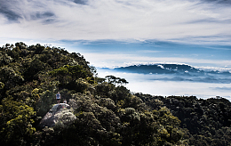 在云海环绕森林里的登山者