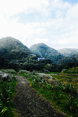 郁郁葱葱的荒野和丘陵