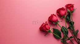 玫瑰花粉色背景