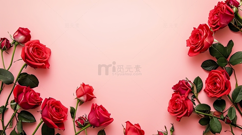 玫瑰花粉色背景1