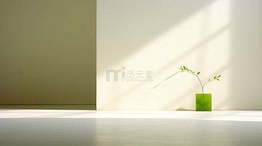 绿植光影空间