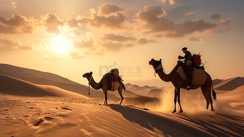 沙漠骆驼丝绸之路