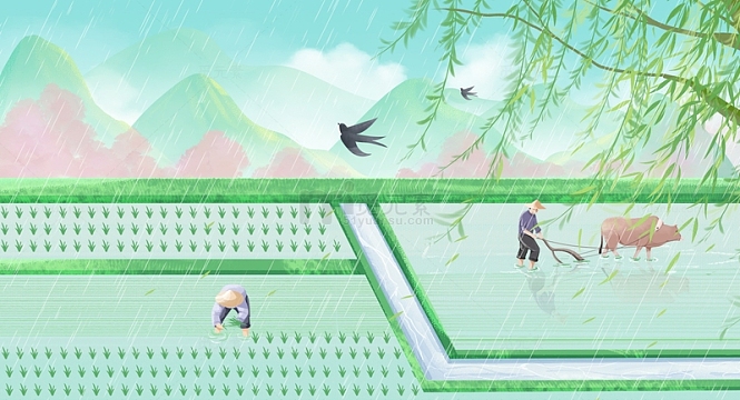 春季谷雨春雨农耕农民犁地插秧场景
