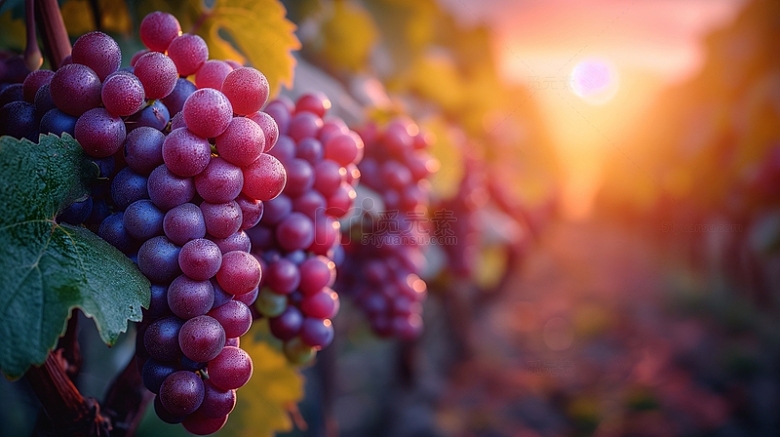 葡萄水果食品摄影