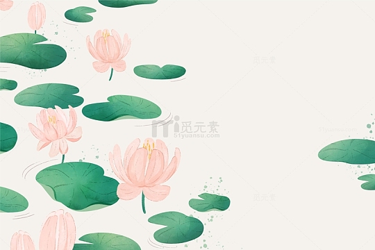 水塘中的荷叶与荷花