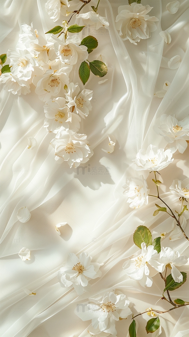 白色纱布花朵摆拍背景