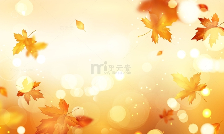 秋天枯黄的落叶