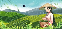 谷雨采茶女孩