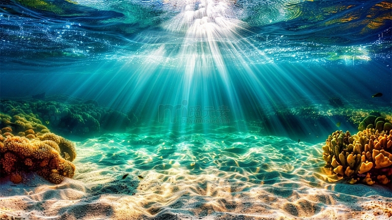 海底珊瑚海水阳光光线唯美场景