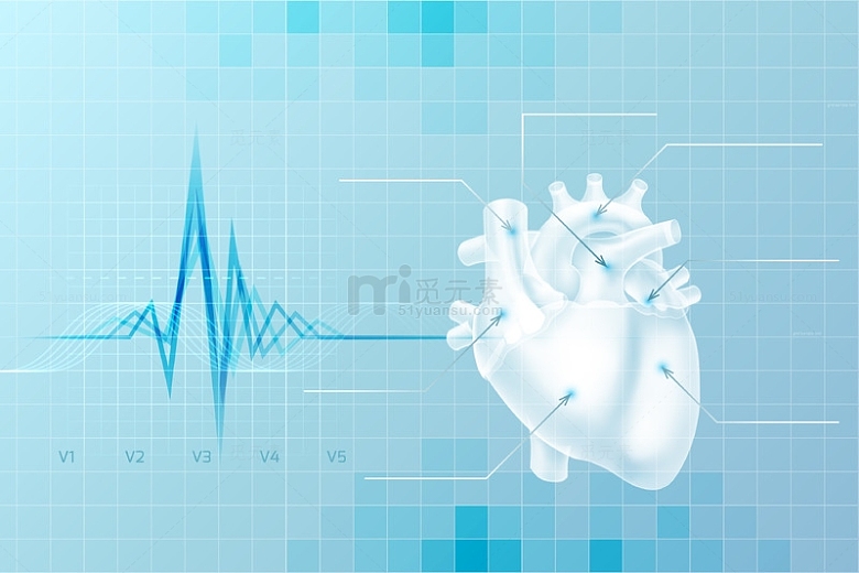 心脏结构与心电图
