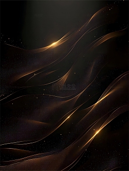 金色线条黑色商务背景