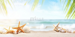 海边海星背景