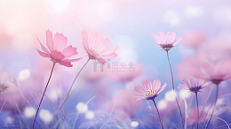 弥撒风花朵背景
