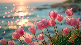 开在海边的郁金香