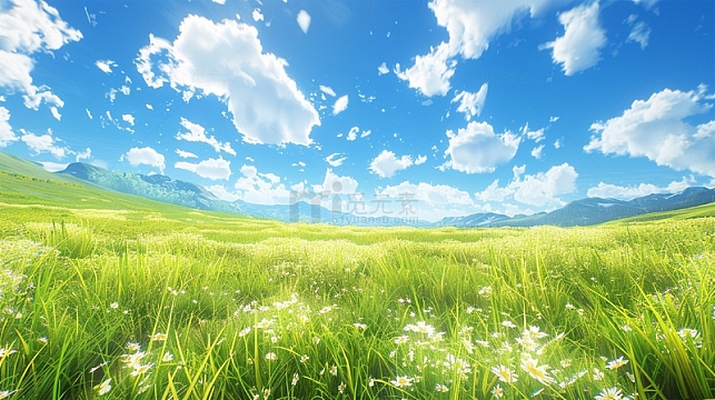 草原蓝天白云植物草地绿色风景