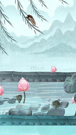 小暑节气荷塘莲花荷叶莲蓬柳叶蝉