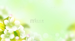 绿色清新花朵夏天清爽海报展板背景