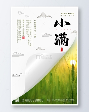 白色简约小满传统二十四节气海报