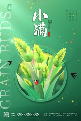 绿色卡通手绘传统二十四节气小满海报