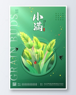 绿色卡通手绘传统二十四节气小满海报