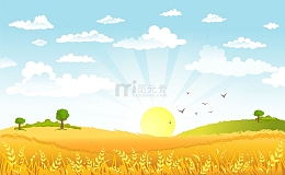 阳光照耀下的金黄麦田