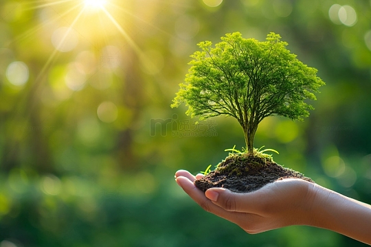 手捧绿植背景