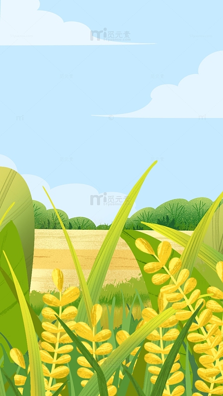 卡通手绘节气海报背景植物麦田