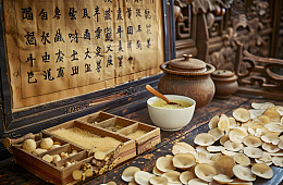中药药材摆拍摄影