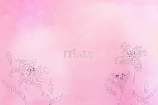 手绘花朵线条装饰粉色背景