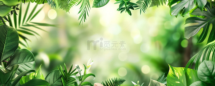 绿植海报背景